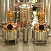 500L Professional aangepaste Copper Wodka Gin Distillery Machine distilleren / destillatieapparatuur